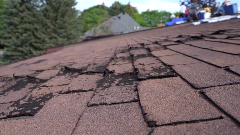 Best Wood Shake Roofing  in Haverford College, PA